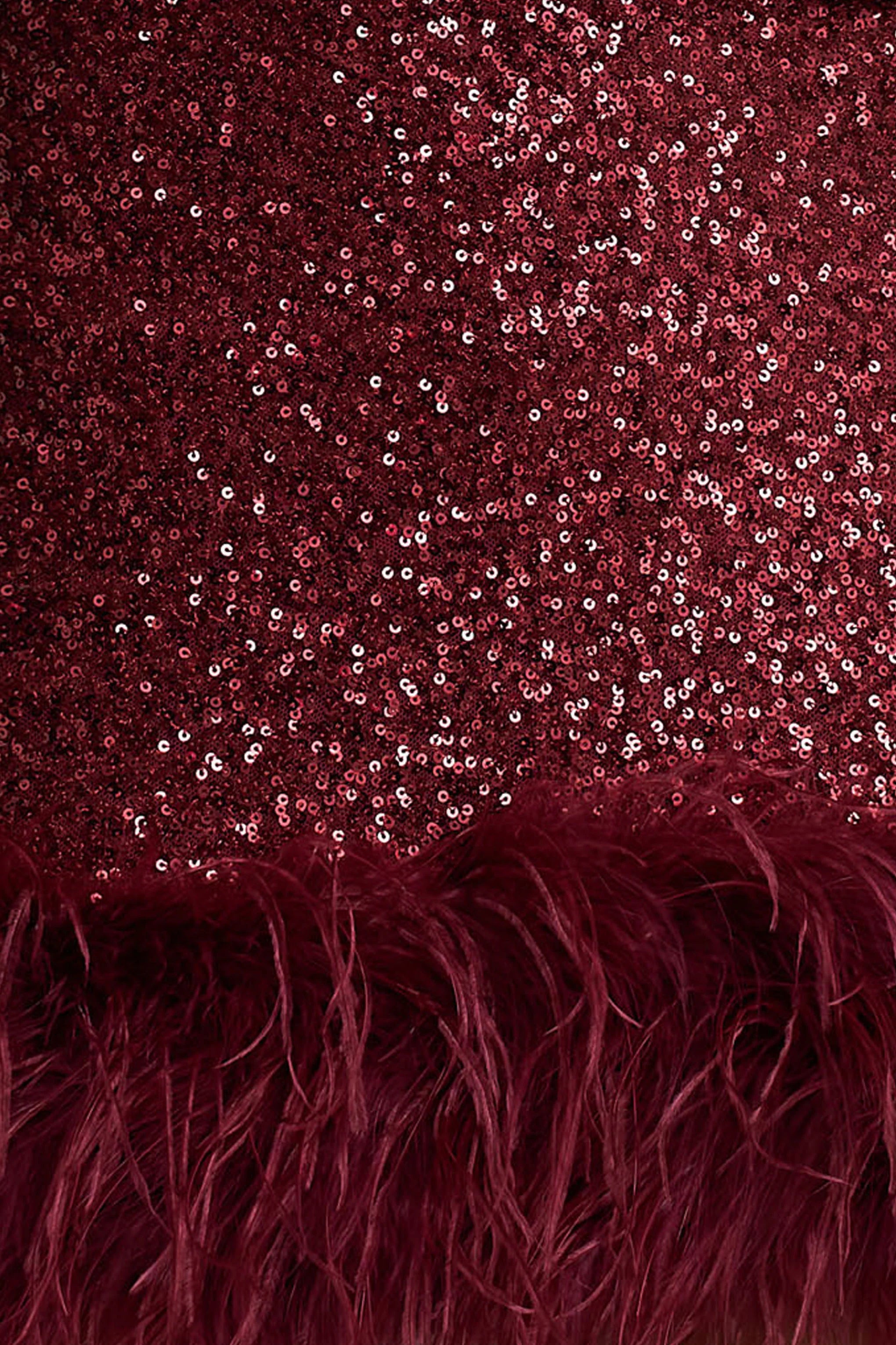 Rosalinda | Burgundy Sequin Square-Neck Mini Dress With Feather Trim